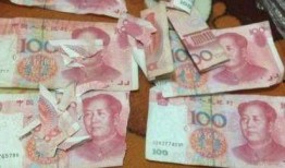 爆料二哈视频大全下载安装,笑料横生的萌犬瞬间