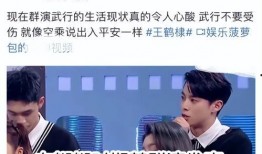 群演爆料骂人视频合集下载,揭秘娱乐圈背后真相